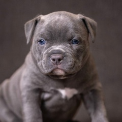 Екатерина Огородова, 10.09.1984, Москва