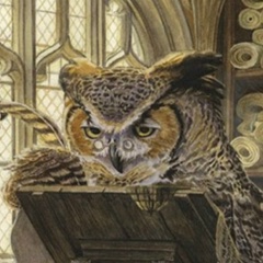 Катерина Курячая, Луганск