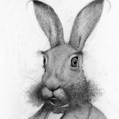 Вадим Розенталь, 30.11, Санкт-Петербург