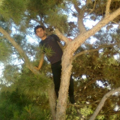 Cemil Rizvanov, 12.04.1993, Баку