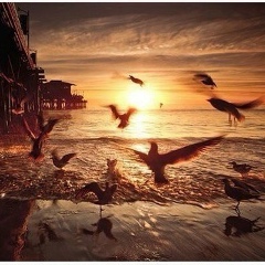 Айгуль Шатырбаева, 03.10, Астана