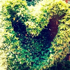 Наталья Якушева, 17.08.1988, Москва