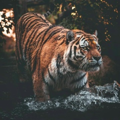 Дмитрий Долбня, 24.02, Оренбург