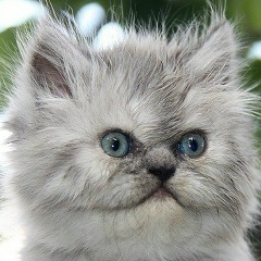 Иван Иванов, 09.09.1998, Запорожье