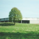 Айнур Куандыкова