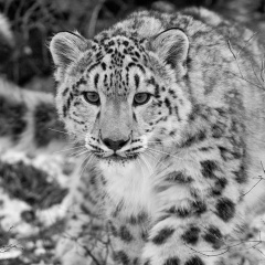 Александр Бутарный, 28.08.1985, Винница