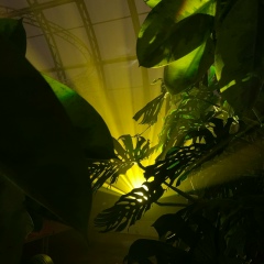 Олег , Санкт-Петербург