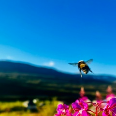 Елена Витальева, 27.11