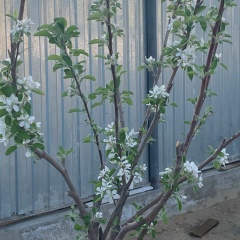 Ракымжан Бакытжанов, 13.01.1994, Шалкар