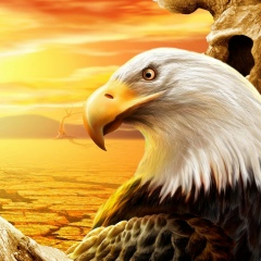 Симферополь Грузия-На-Авто, 11.06.1978, Зугдиди