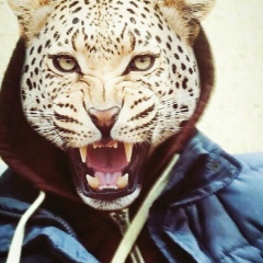 Дмитрий Смирнов, 25.12, Запорожье