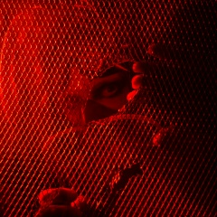 Тонкое Сна, 21.12.1979