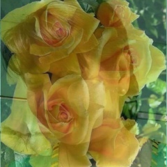 Mar Mar, 14.11.1970, Bago