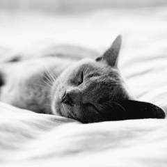 Lilit Arakelyan, 01.09.1994, Ереван