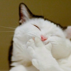 Мариям Бинт-Идрис, 29.12.1984, Алматы