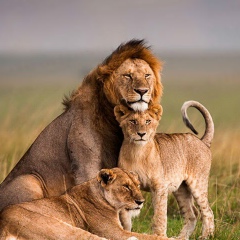 Makpal Koshmanova, 04.02, Алматы