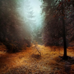 Даниил Жуков, 31.01