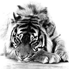 Алексей Постников, 27.11.1974, Великий Новгород