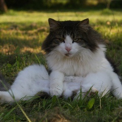 Tony Lazarenkov, 22.09, Москва