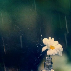 Glory Huỳnh, 02.10.1990