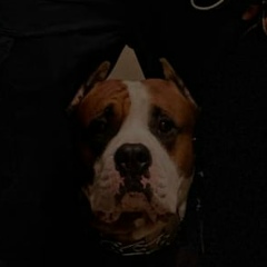 Сергей Стаценко, 20.07.1988, Актау