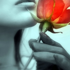 Светлана Королева