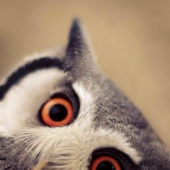 Мария Васина, 08.02, Toronto