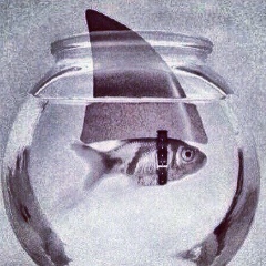 Аслан Джабраилов