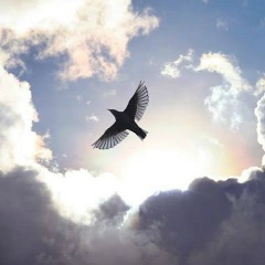 Майя Калинина, 24.05, Санкт-Петербург