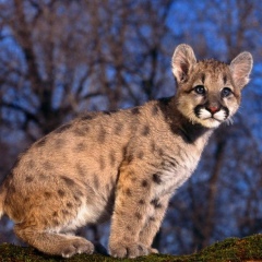 Елена Китаева, 18.06, Санкт-Петербург