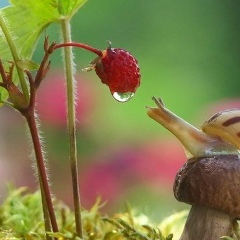 Людмила Шестакова, 01.01.1986, Miami