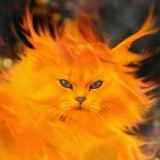 Вадим Базильян, 01.07