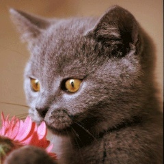 Елена Конина, 08.04, Москва