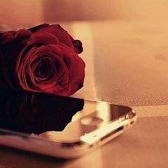 Нура Нура, 02.04.1983