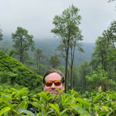 Игорь Соколов, Калининград