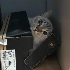 Максим Фёдоров, 13.12.1980