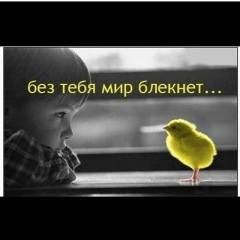 Ава Талхигова, 08.02, Грозный