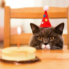 Снежана Урманова, 25.03, Севастополь