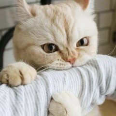 Алексей Масаев, 16.05.1998