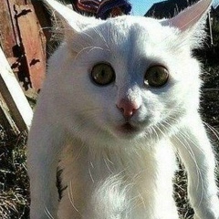 Женек Морозов, 13.12.1902