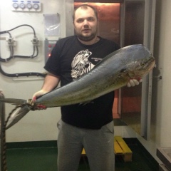 Роман Хоревич, Одесса