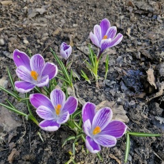 Надежда Удодова, 30.01.1984, Краснодар