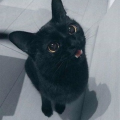 Эльназа Гусейнова, 27.05.1996, Атырау