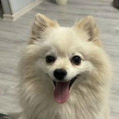 Максим Охотников, 29.10.1989, Санкт-Петербург