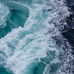 Катя Лавренова, 22.12.1989, San Francisco