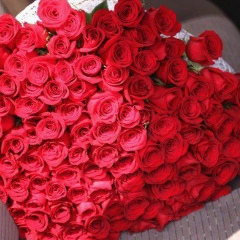 Бану Намазбаева, 11.04