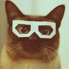 Aleksey Bobkov, 13.08, Москва