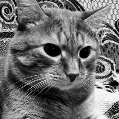 Александр Сергеевич, 09.07, Красноярск