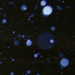 Антон Ильин, Москва