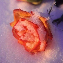 Πетр Κузьмин, 20.12, Казань